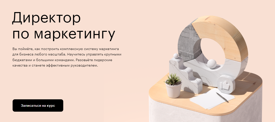 Курс Директор по маркетингу от Skillbox